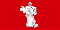 Флаг города Жодино (Беларусь)